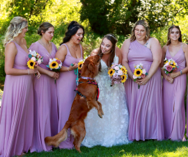 Wedding Photos